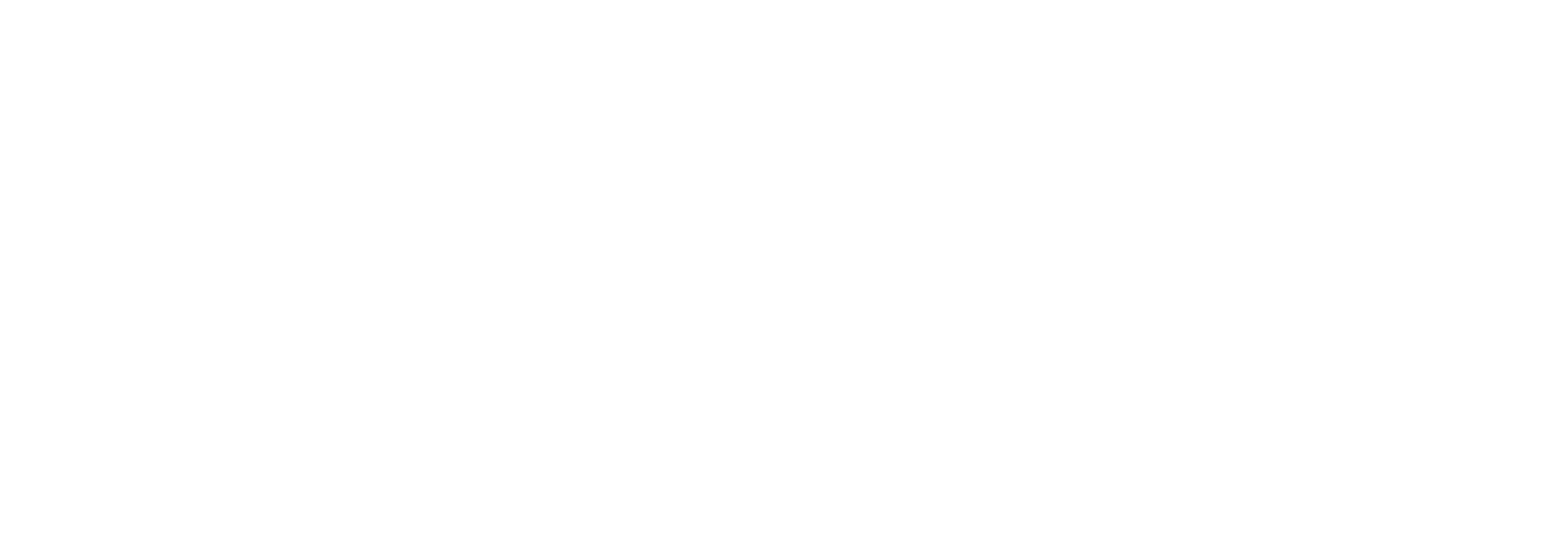NVC International